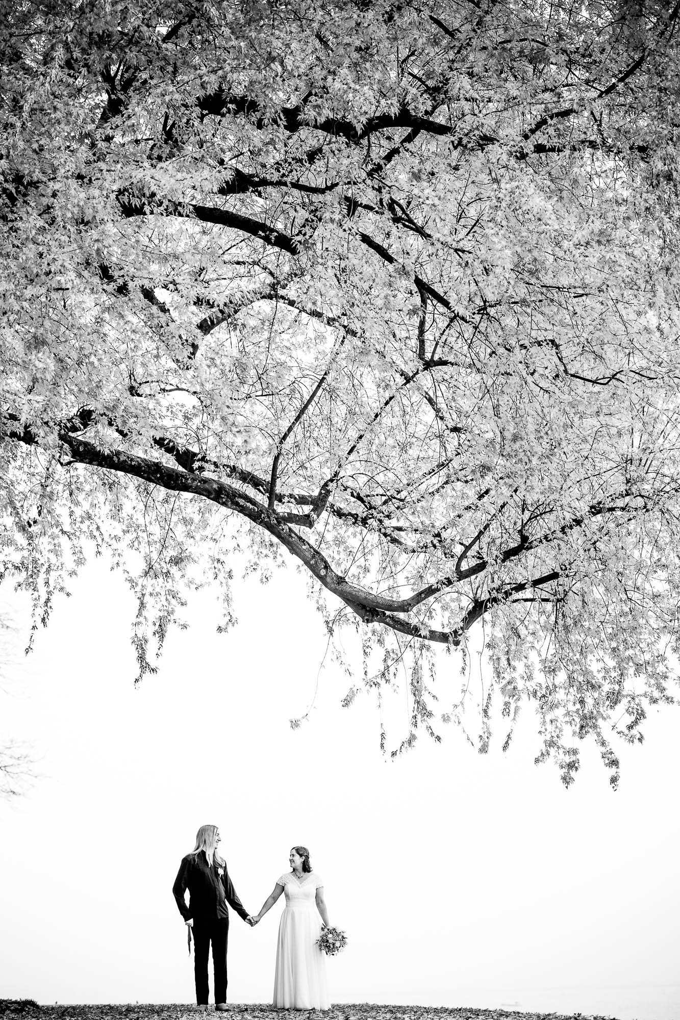 Export x3 1DX29364 Hochzeit 2020 Monika & Sharru 5